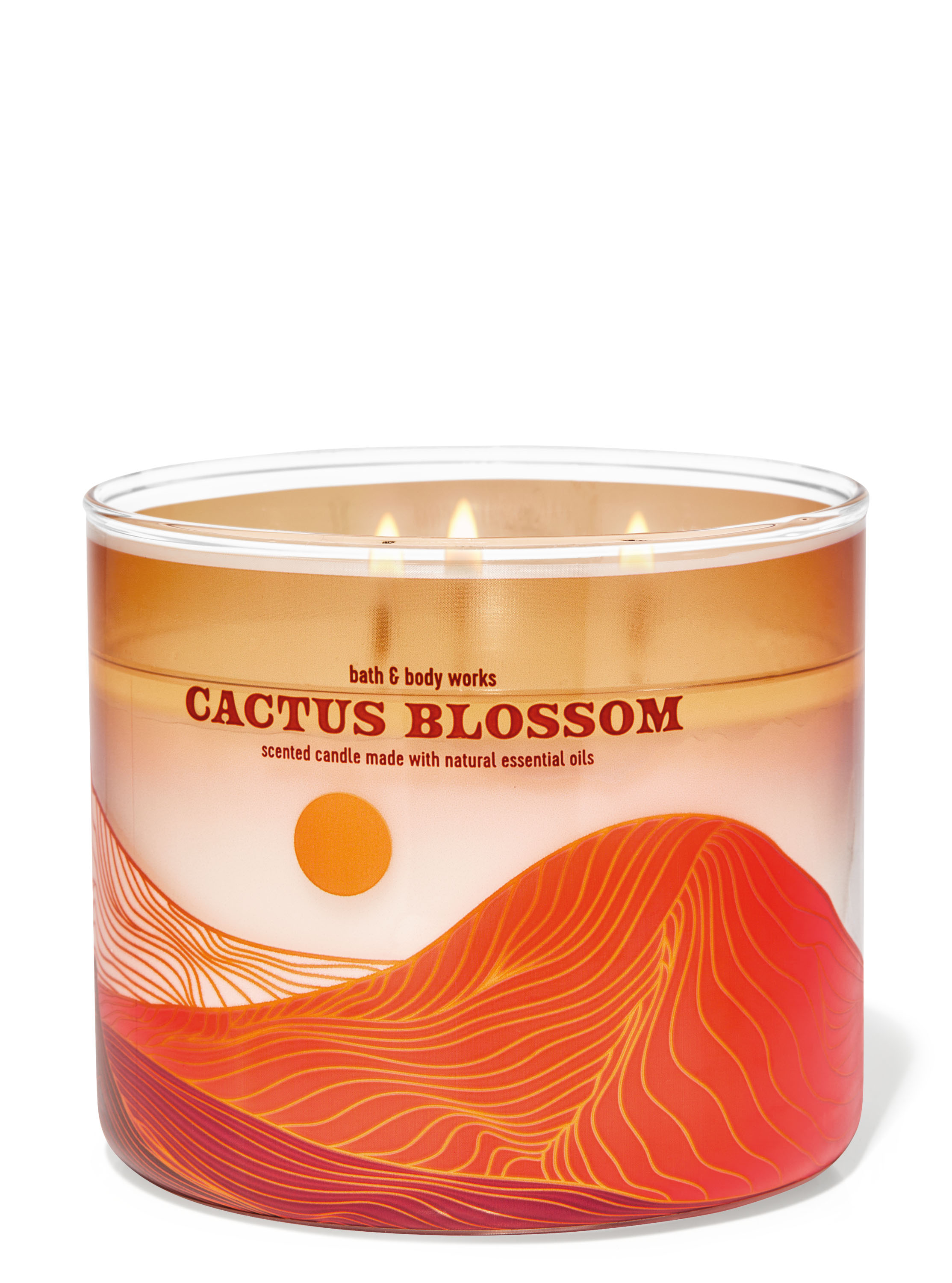 Bath & Body Works White Barn Cactus Blossom Triple Wick Jar Candle 14.5oz -   Denmark